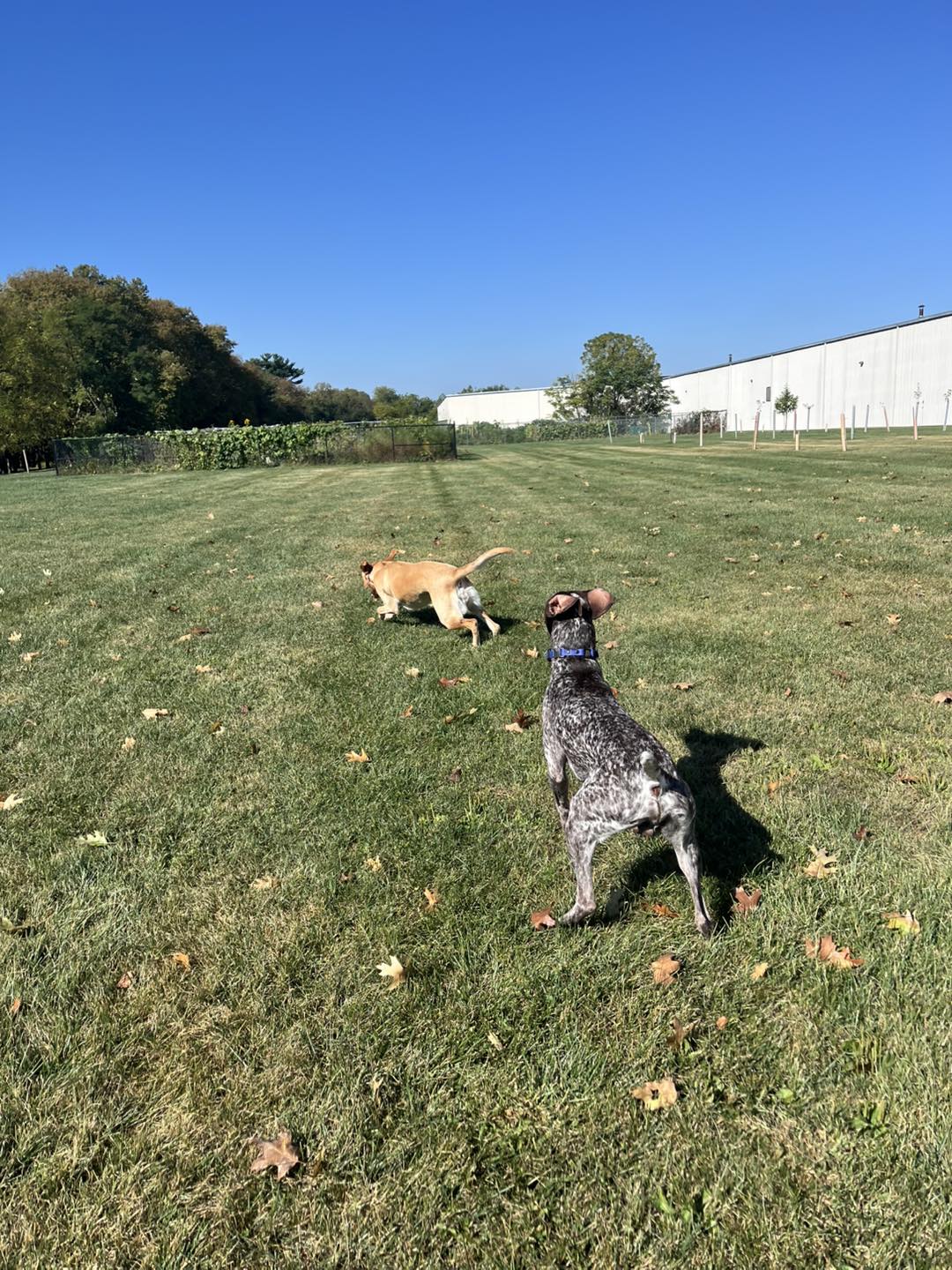 Winton's Training Session