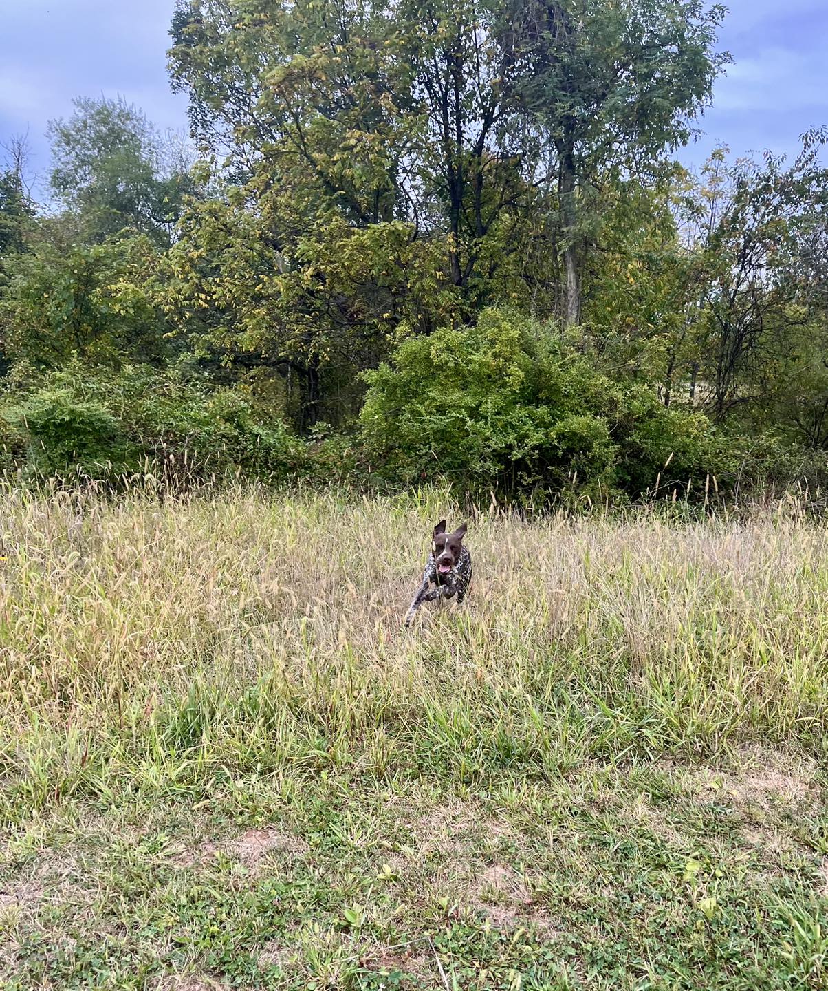 Winston's First Group Class