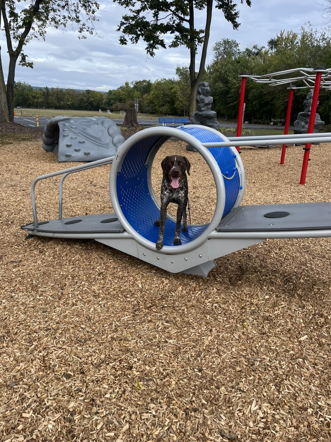 Winston's First Group Class