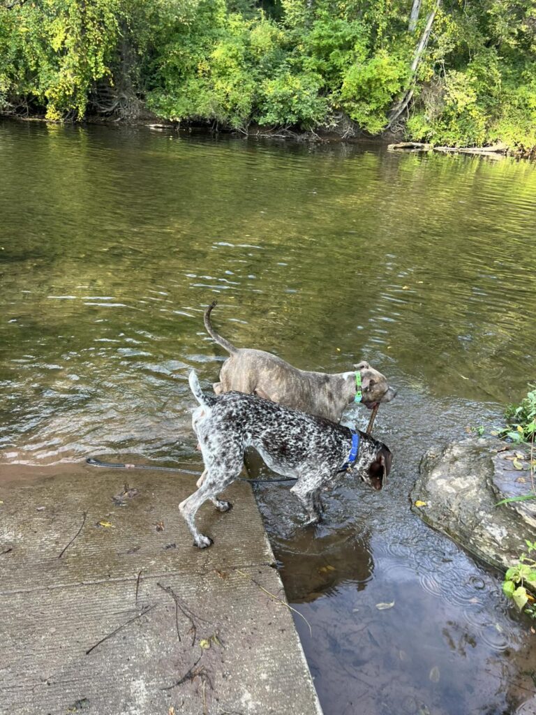 Winton's Training Session