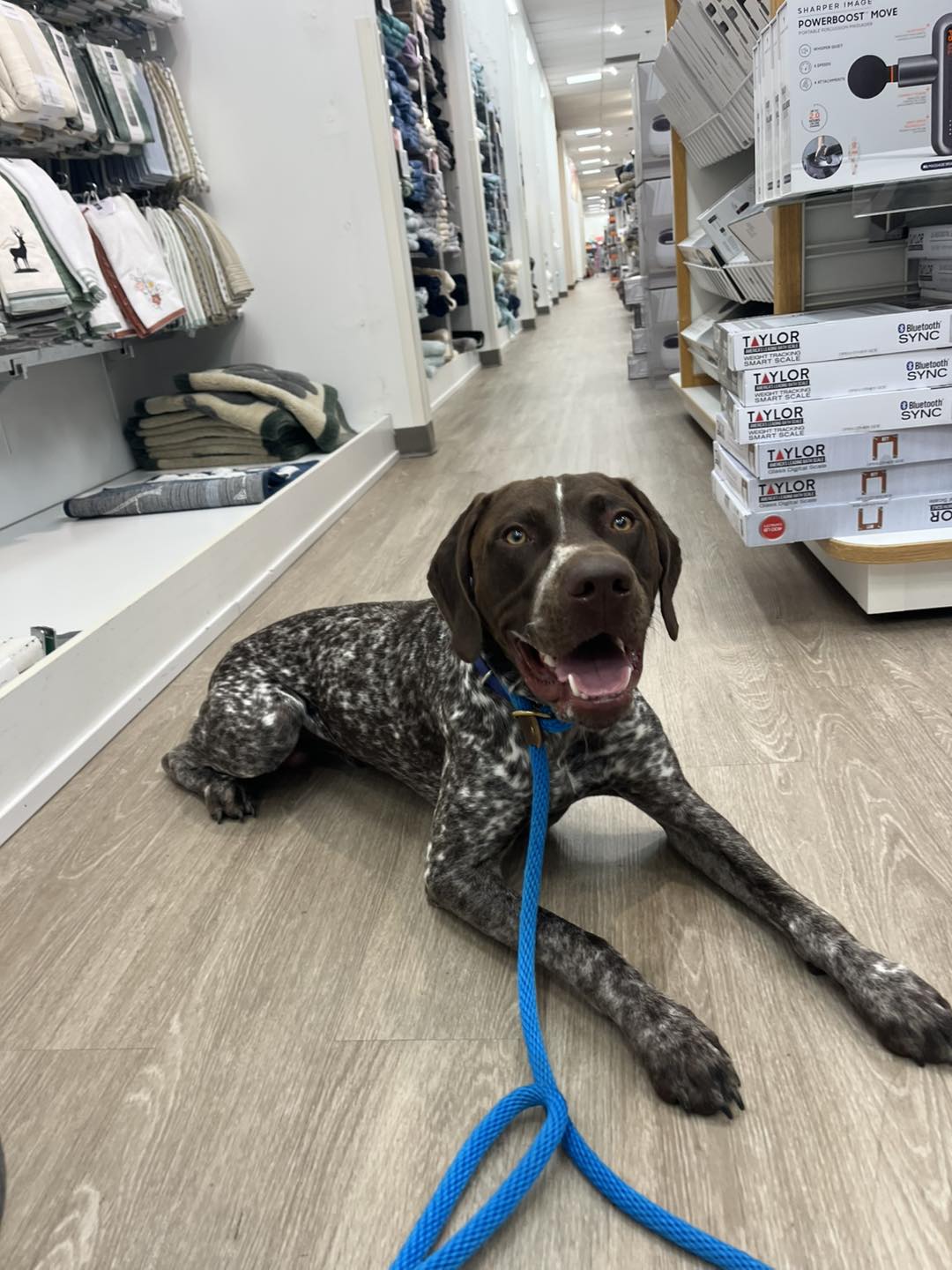 Winston's First Group Class