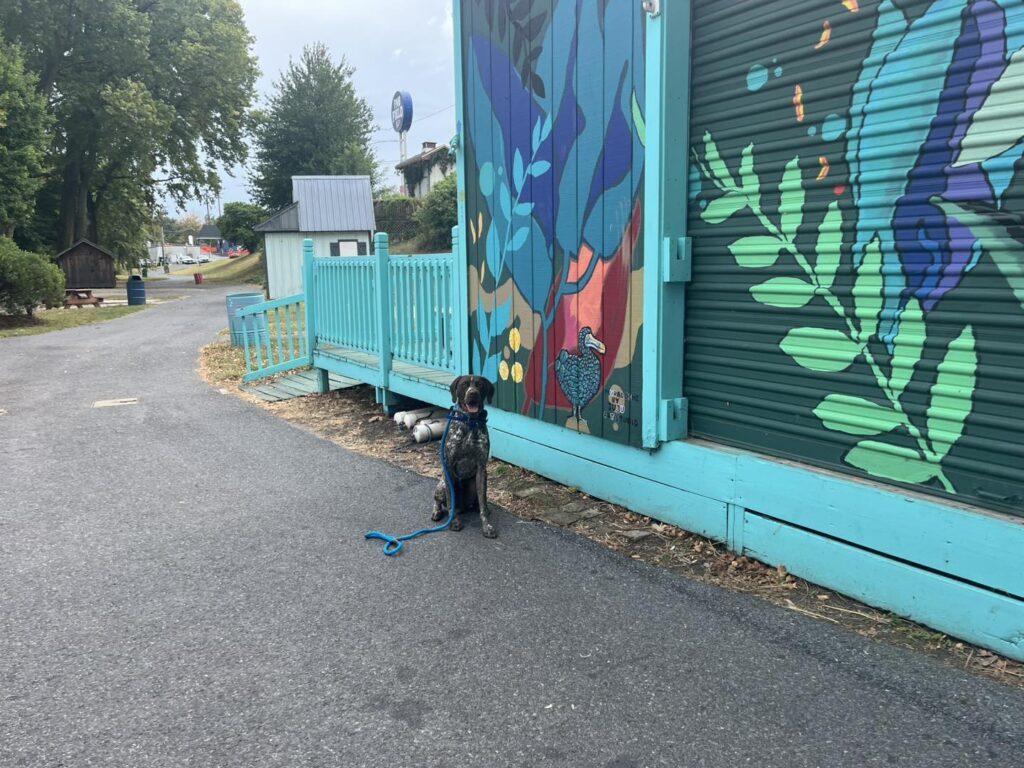 Winston Practicing Check-ins and Engagement