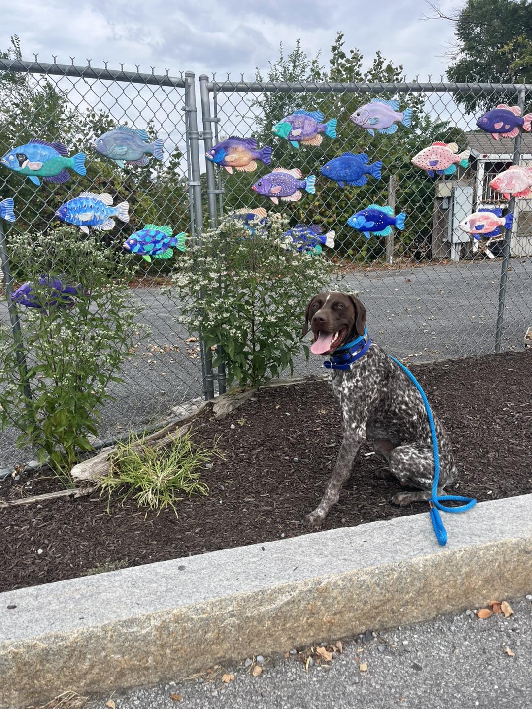 Winston Practicing Check-ins and Engagement