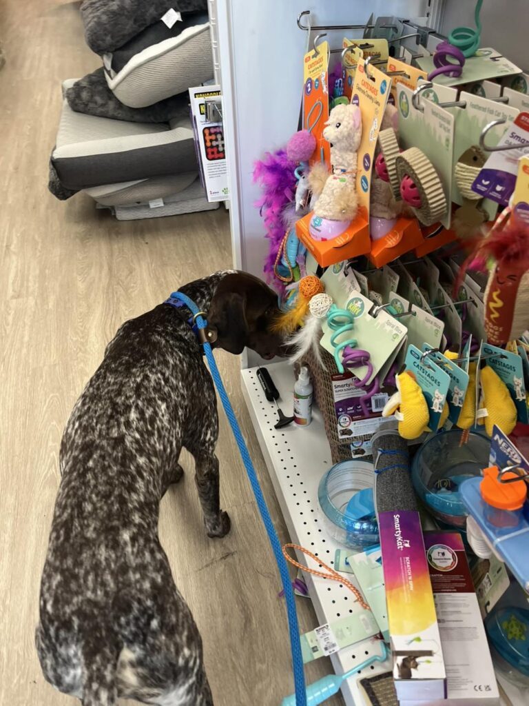 Winston's First Group Class