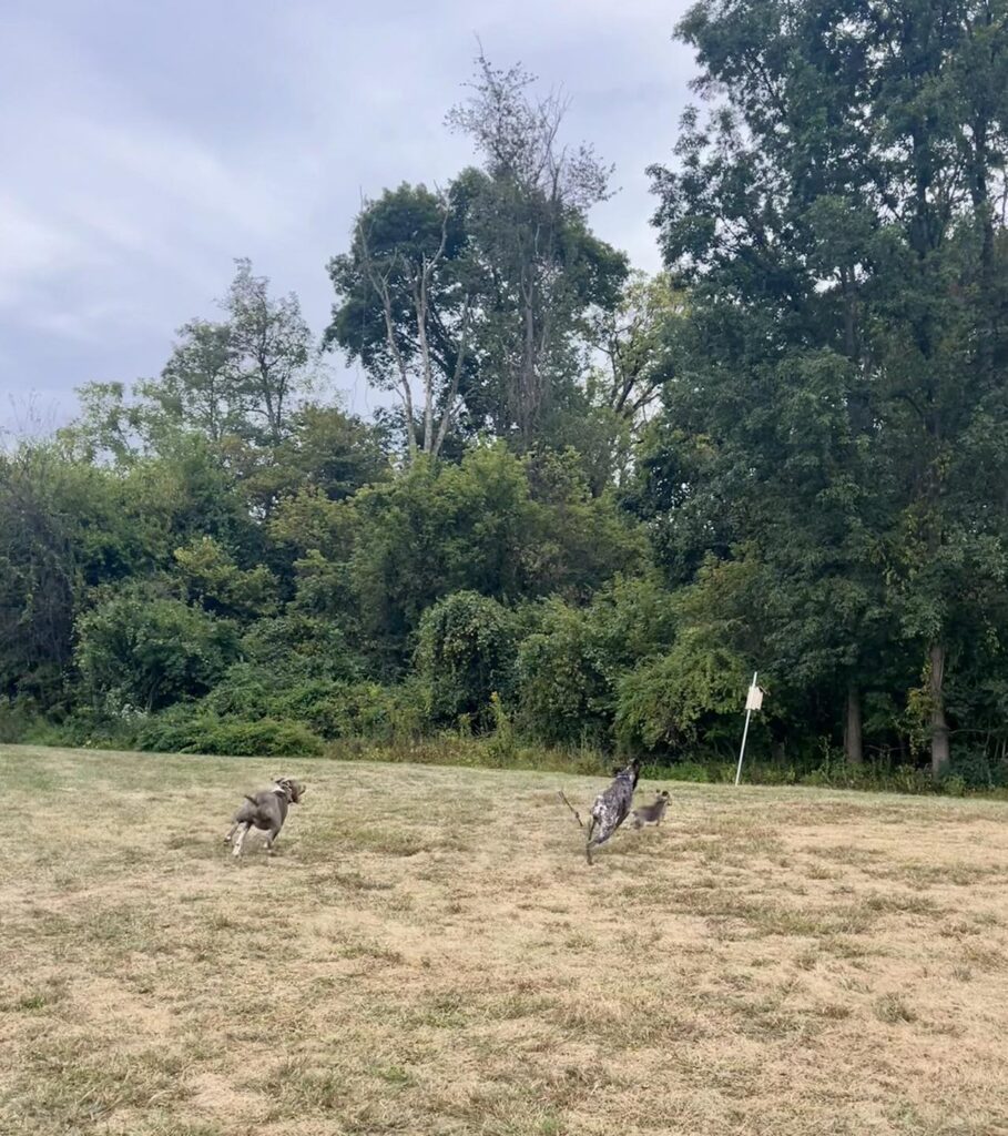 Winston Practicing Check-ins and Engagement