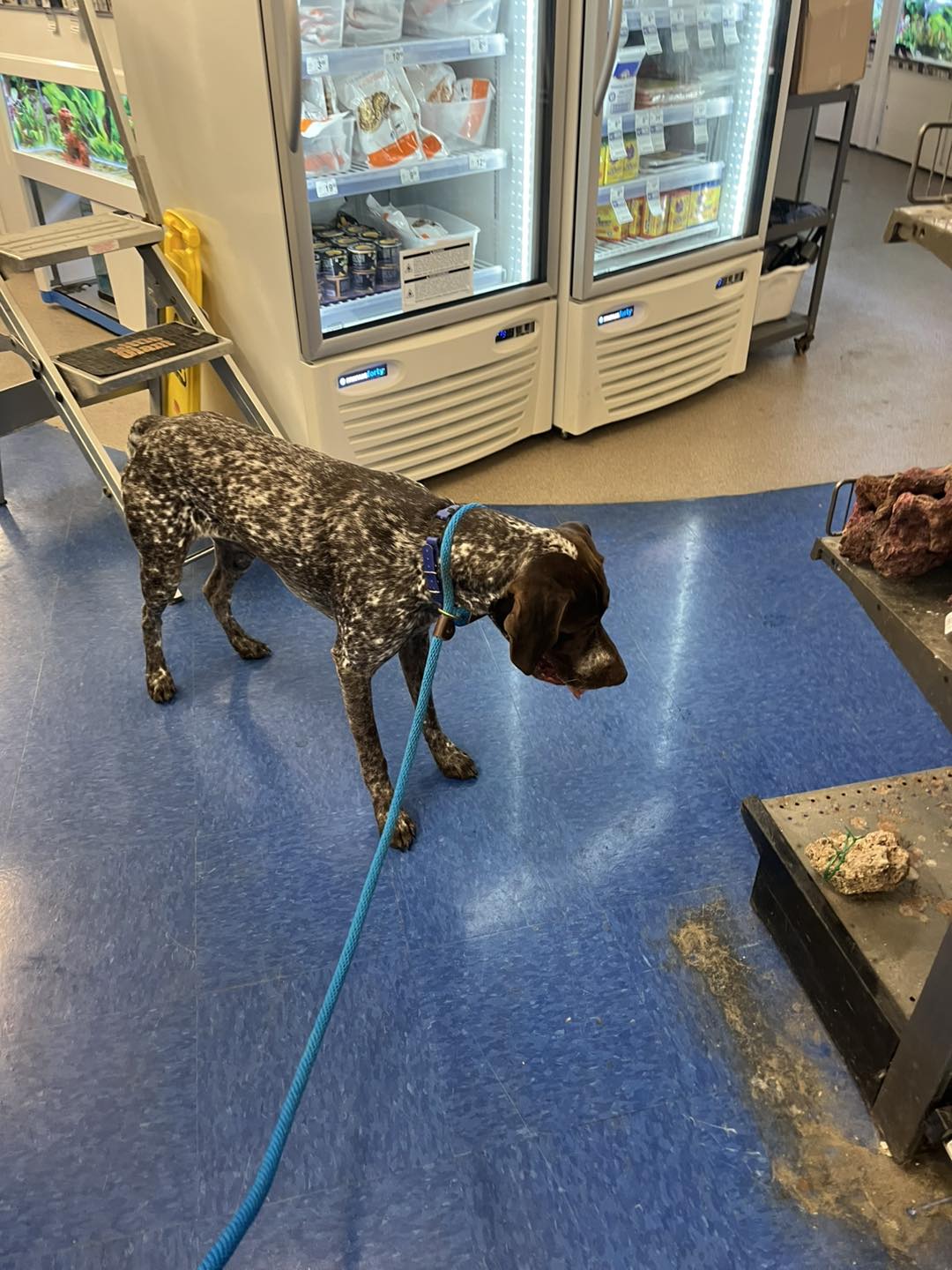 Winston's First Group Class