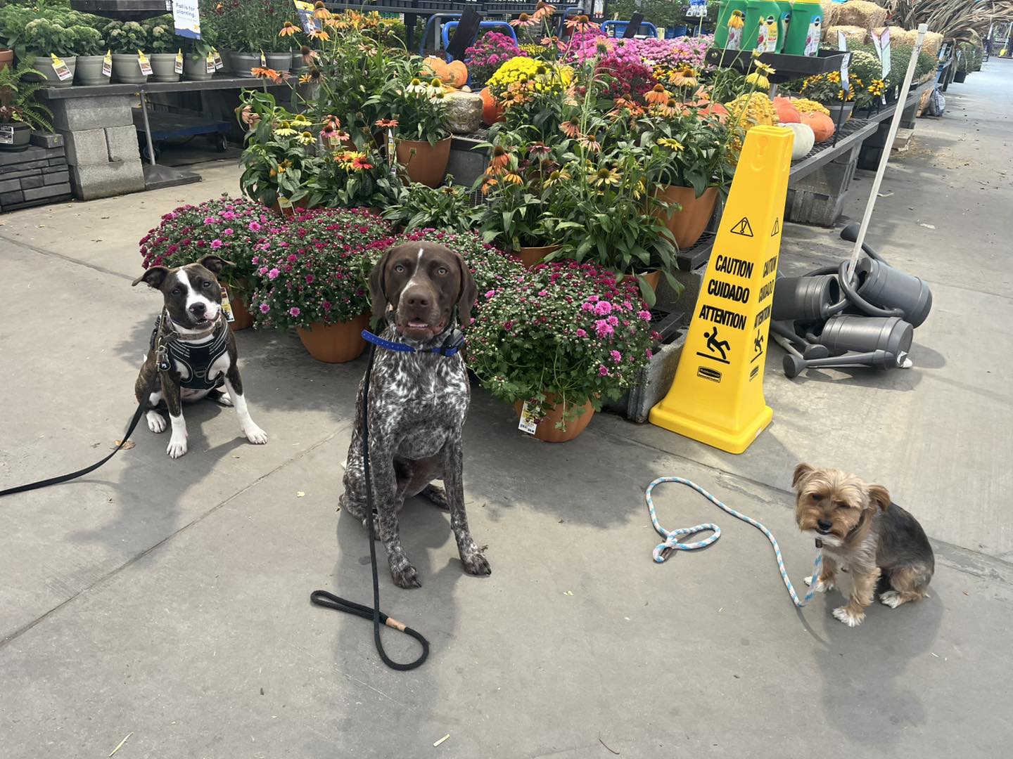 Winston Practicing Check-ins and Engagement