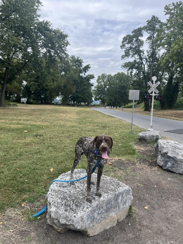 Winston Practicing Check-ins and Engagement