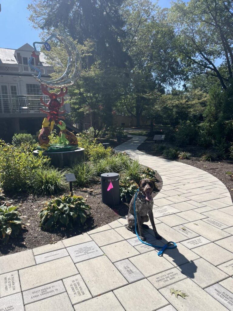 Winton's Training Session