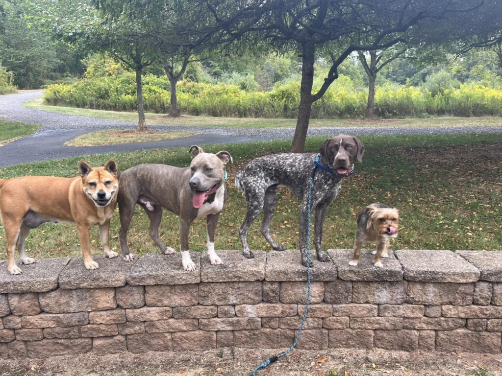 Winston Practicing Check-ins and Engagement