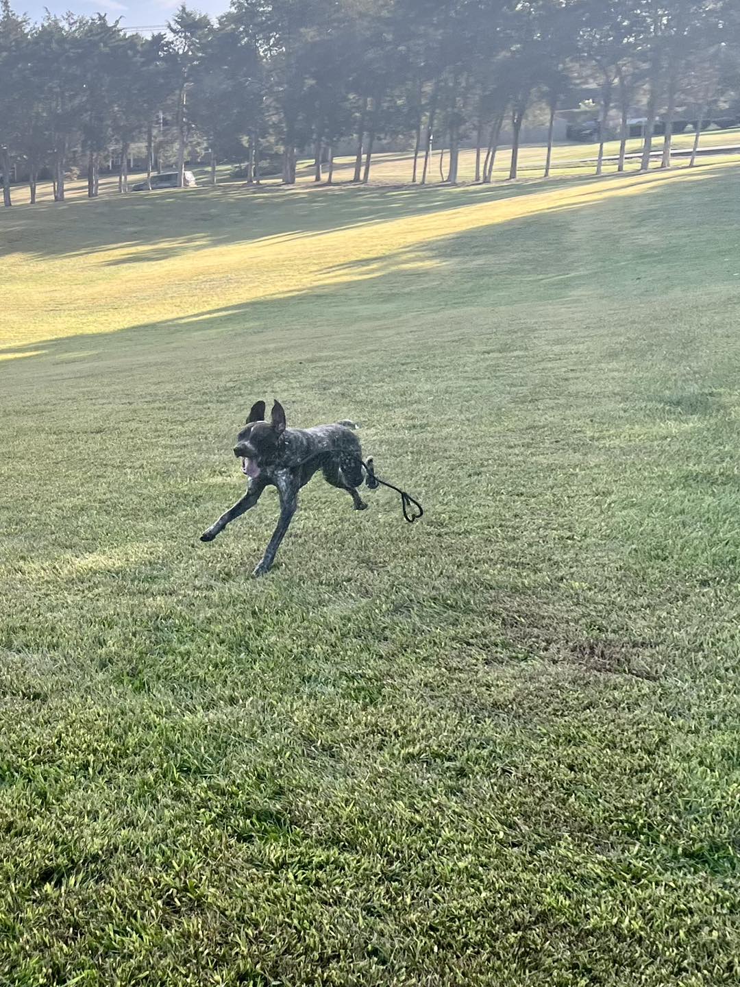 Outing with Winston
