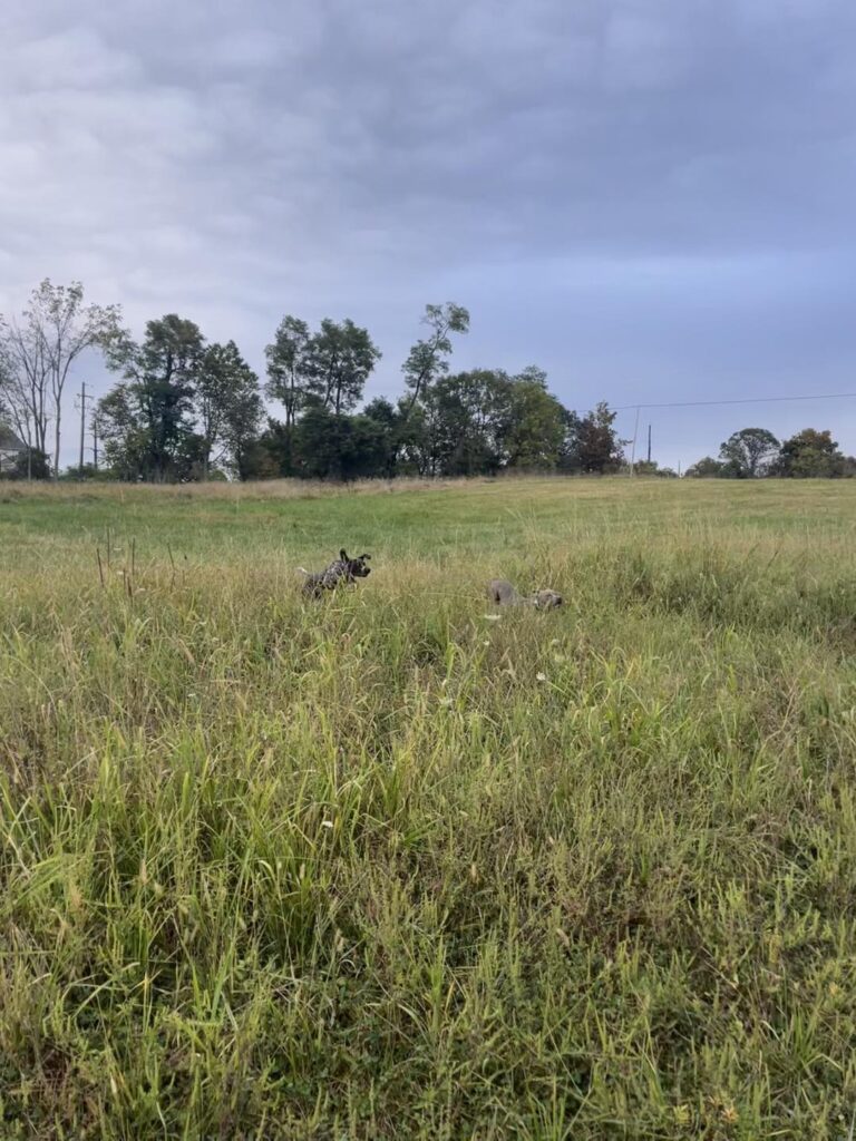 Winston's First Group Class