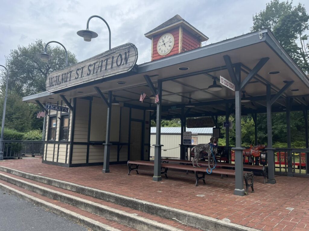 Winston Practicing Check-ins and Engagement