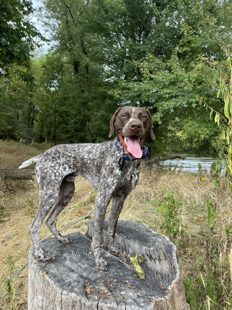 Winston's First Group Class