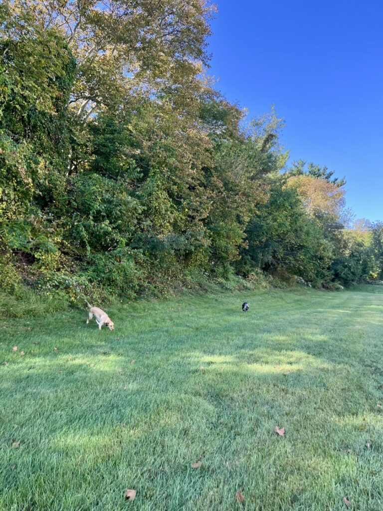 Winton's Training Session