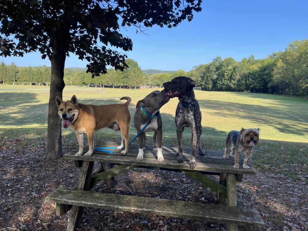 Winton's Training Session