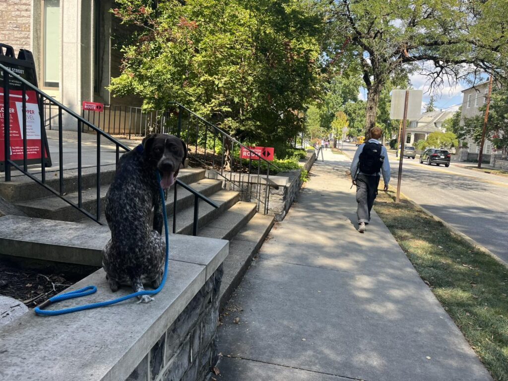 Winton's Training Session