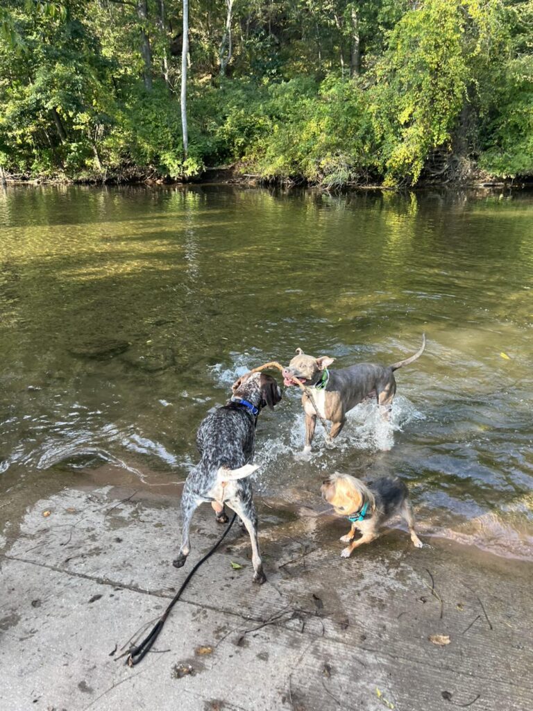 Winton's Training Session