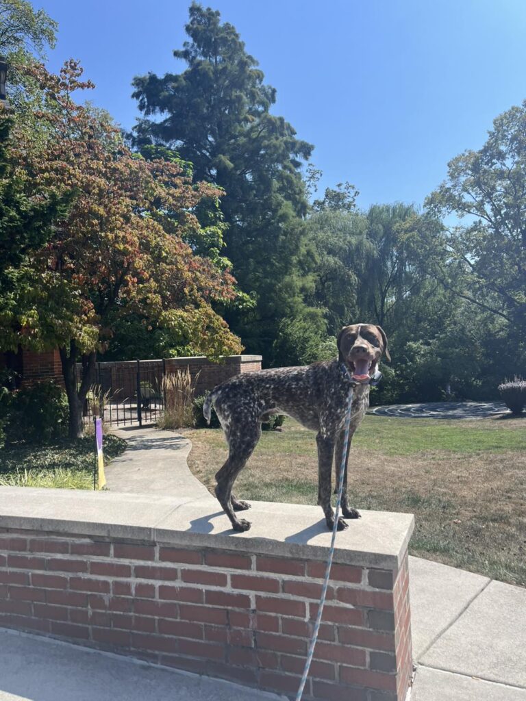 Winston Practicing Focus in Public