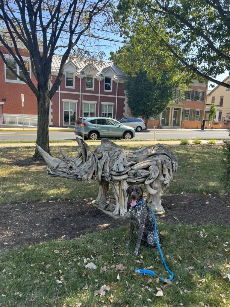 Winton's Training Session