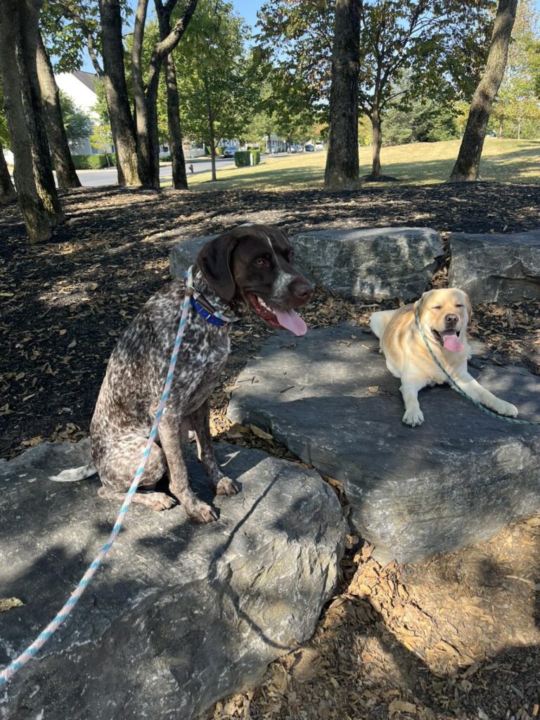 Winston Practicing Focus in Public