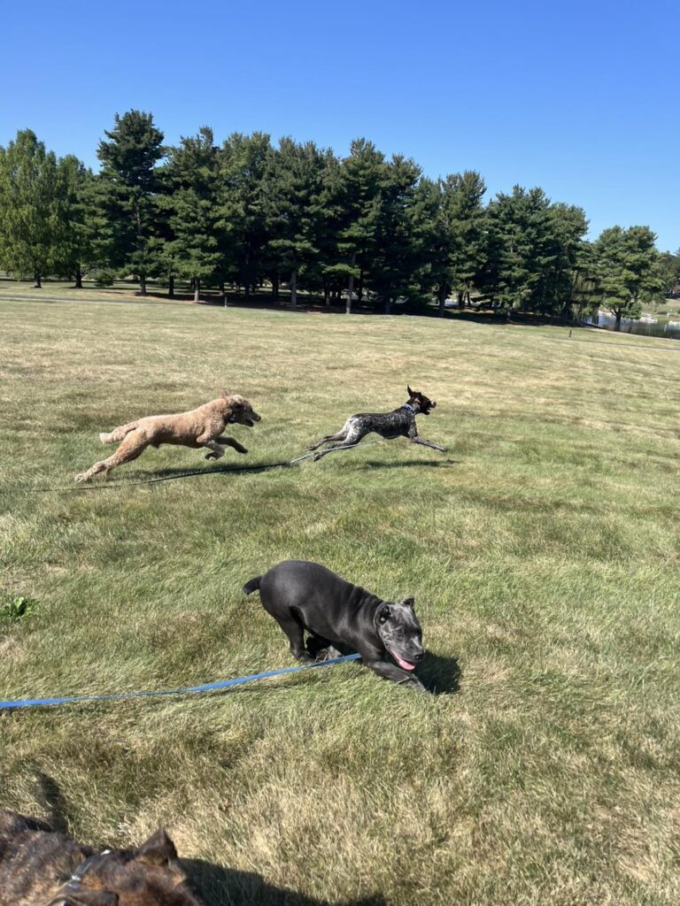 Winston Practicing Focus in Public