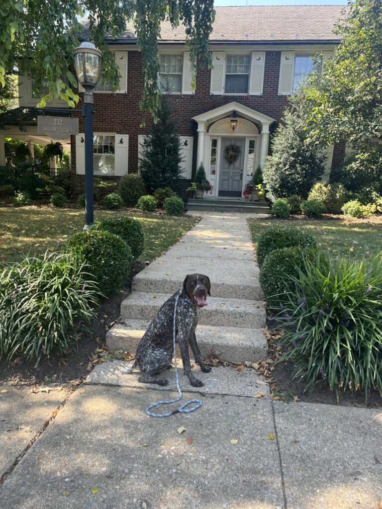 Winston Practicing Focus in Public