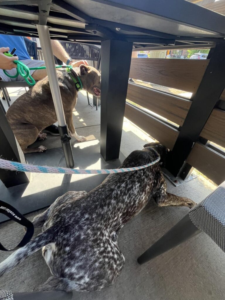 Winston Practicing Focus in Public