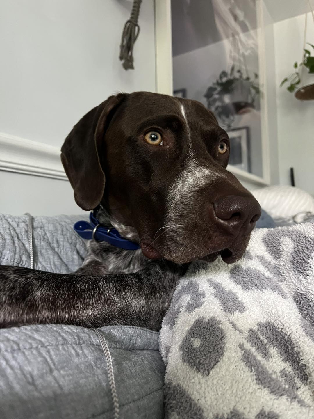 Winston Practicing Check-ins and Engagement