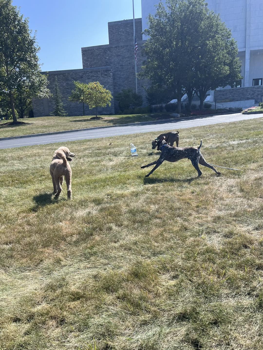 Winston Practicing Focus in Public