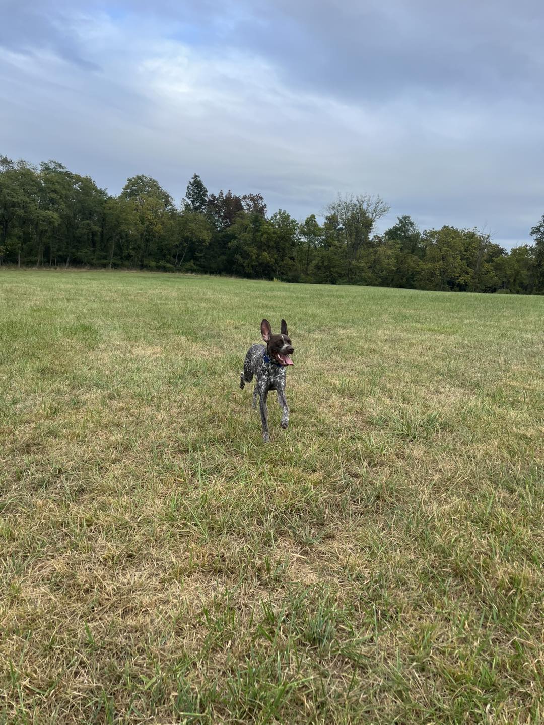 Outing with Winston