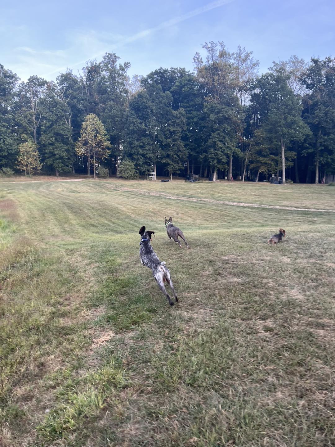 Winston Practicing Focus in Public