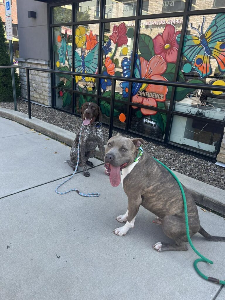 Winston Practicing Focus in Public