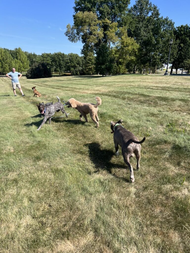 Winston Practicing Focus in Public