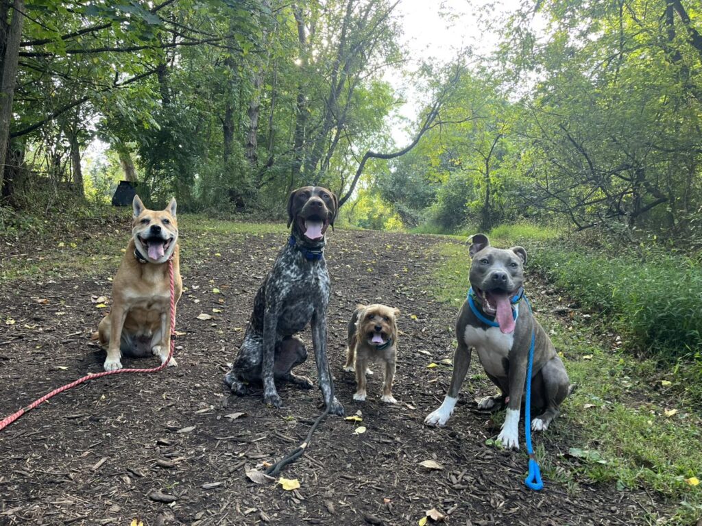 Winton's Training Session