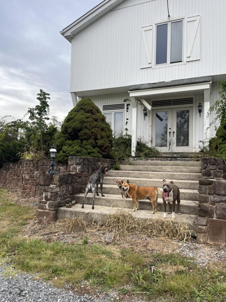 Winston's First Group Class