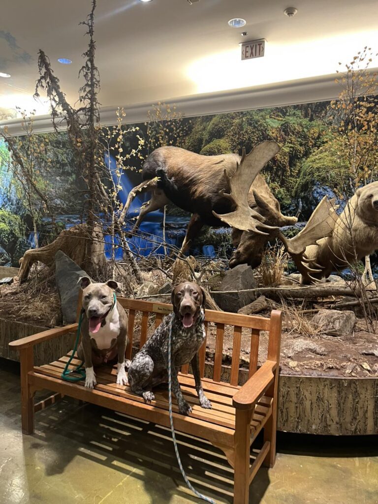 Winston Practicing Focus in Public