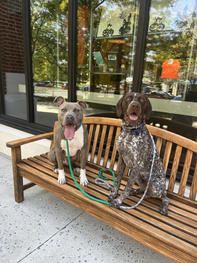 Winston Practicing Focus in Public