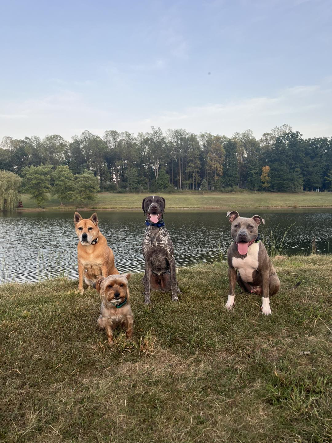 Winston Practicing Focus in Public