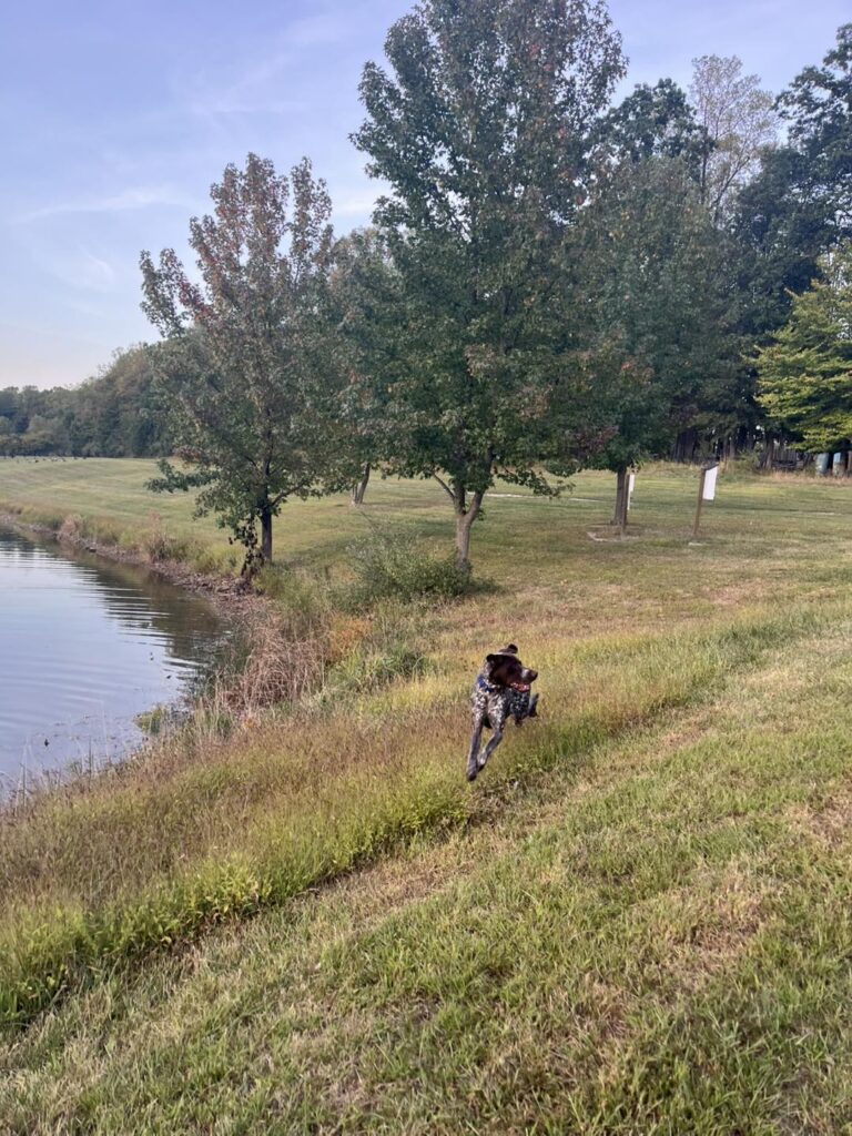 Winston Practicing Focus in Public