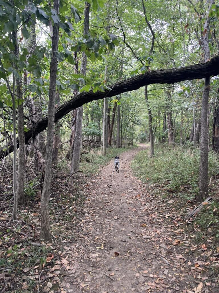 Winston's First Group Class