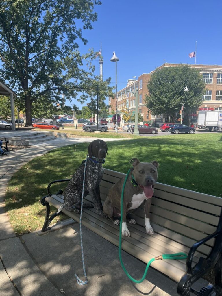 Winston Practicing Focus in Public