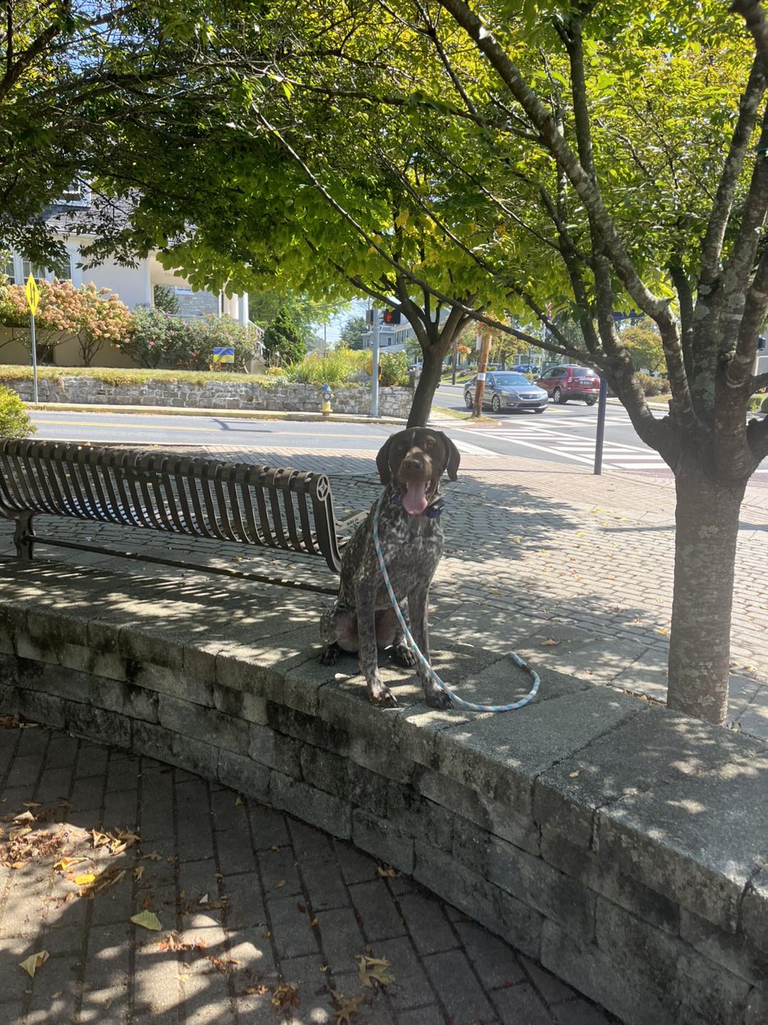 Winston Practicing Focus in Public