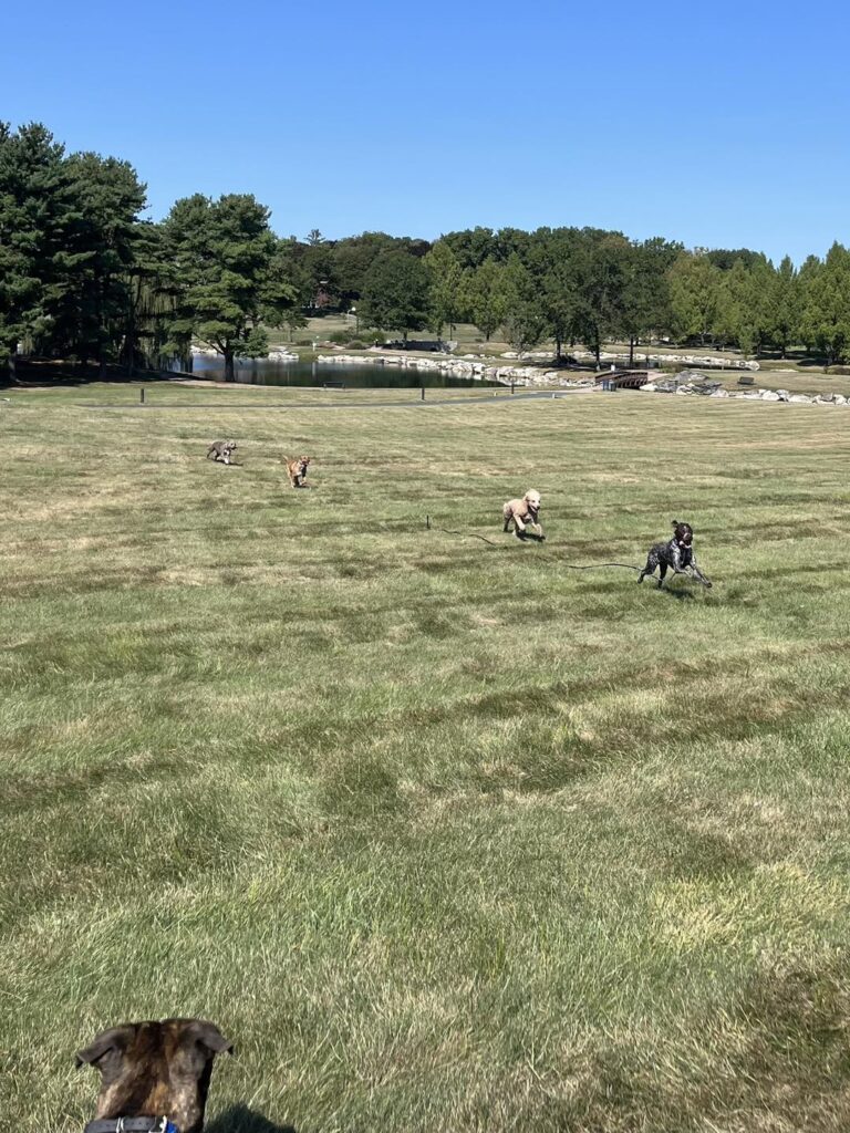 Winston Practicing Focus in Public