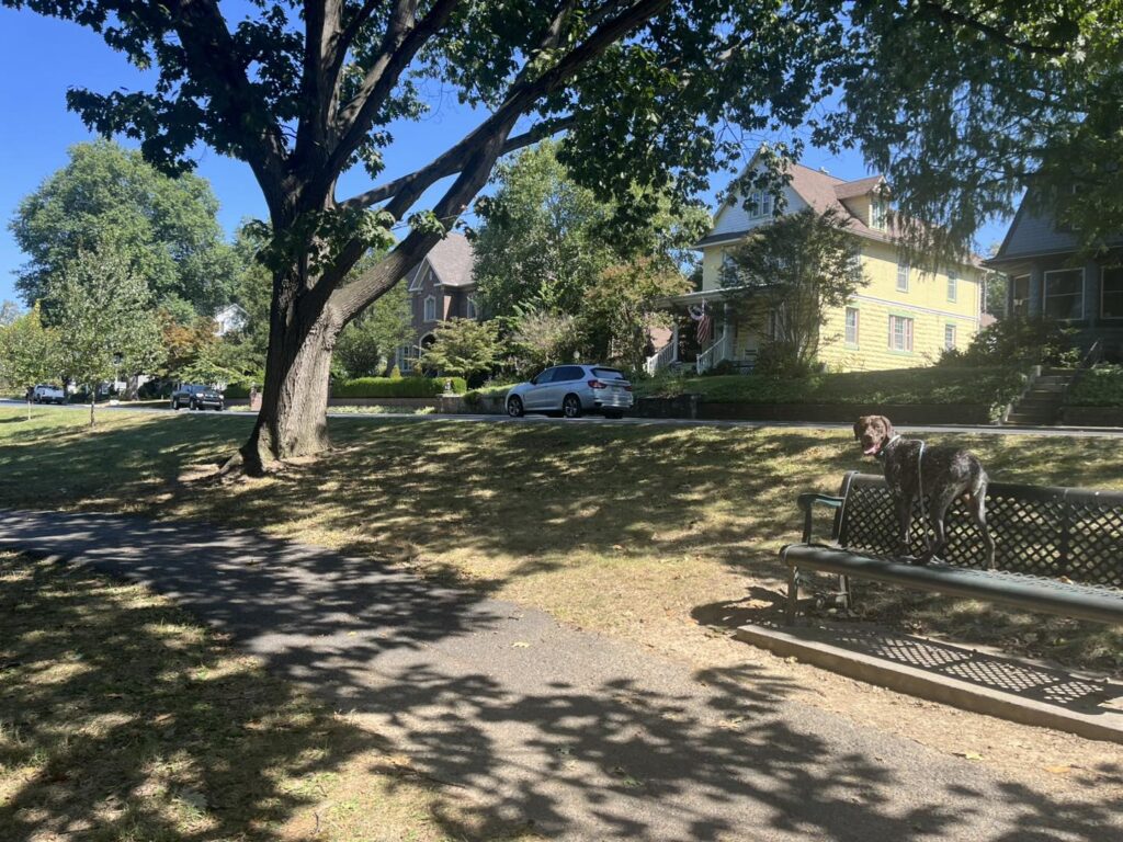 Winston Practicing Focus in Public