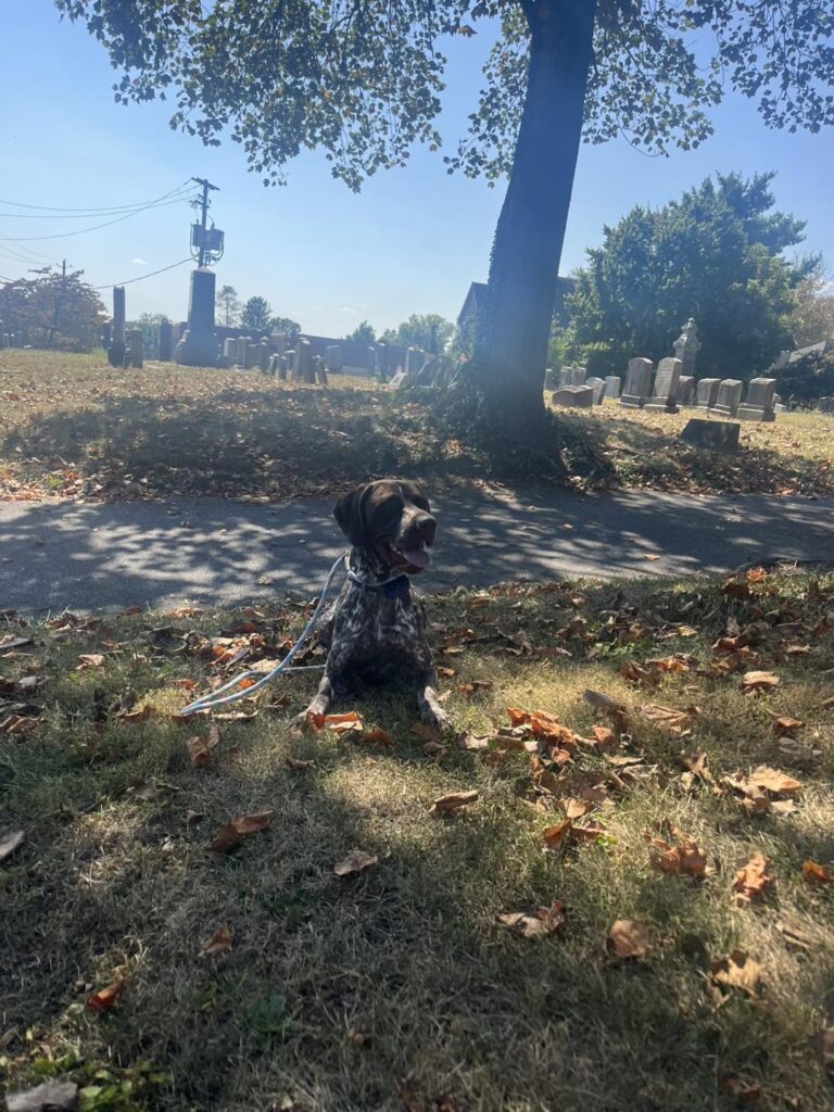 Winston Practicing Focus in Public