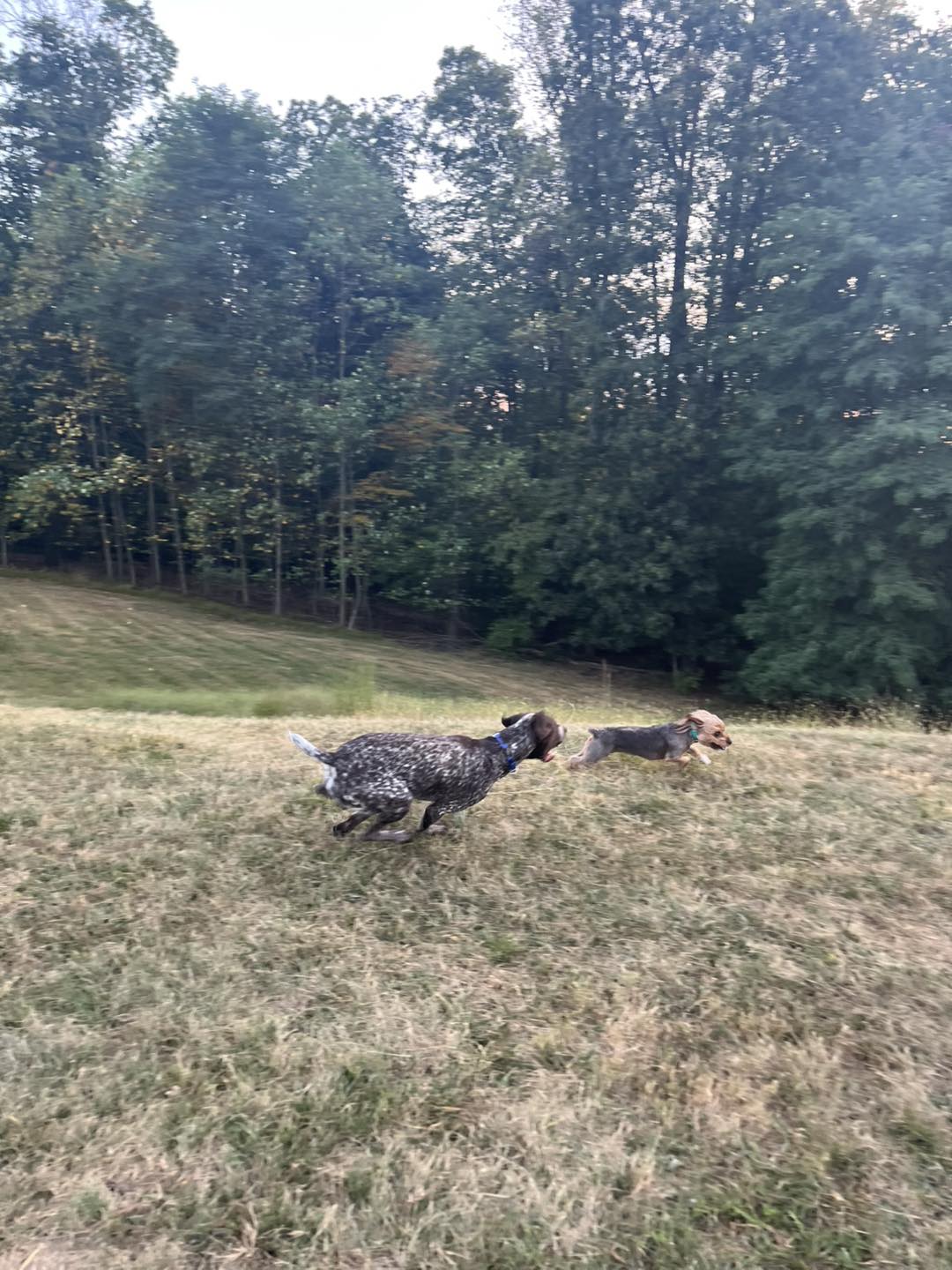 Winston Practicing Focus in Public