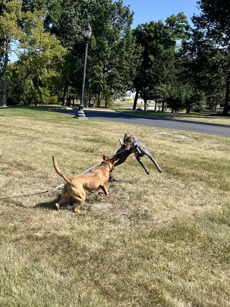 Winston Practicing Focus in Public