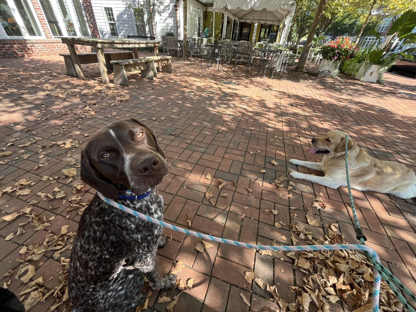 Winston Practicing Focus in Public
