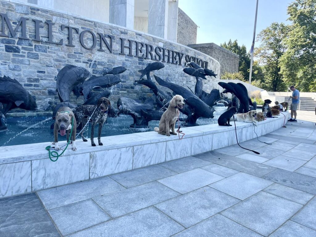 Winston Practicing Focus in Public